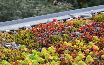 the cost of Killybane green roof installation